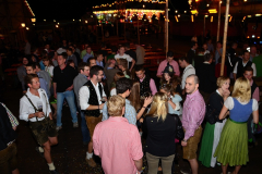 wiesn_alm_am_samstag_169_20140915_1912354507