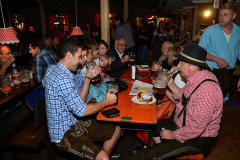 wiesn_alm_am_samstag_20140915_1130101753