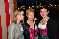 wiesn_alm_am_samstag_20140915_1455223633