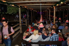 wiesn_alm_am_samstag_20140915_1458036183