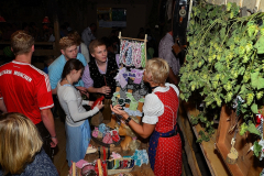 wiesn_alm_am_samstag_39_20140915_1815698619