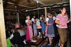 wiesn_alm_am_samstag_50_20140915_1085410461