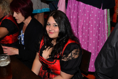 wiesn_alm_am_samstag_61_20140915_1996352092
