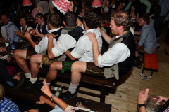 wiesn_alm_am_samstag_80_20140915_1930277025
