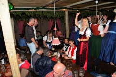 wiesn_alm_am_samstag_95_20140915_1014394862