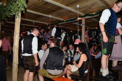 wiesn_alm_am_samstag_98_20140915_1023551654