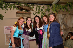 wiesn_alm_am_samstag_99_20140915_1425135452