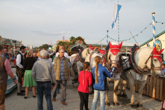 herbstfest_einzug_2015_327_20150917_1073663175