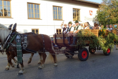 einzug_zum_haager_herbstfest_204_20160909_1674864766